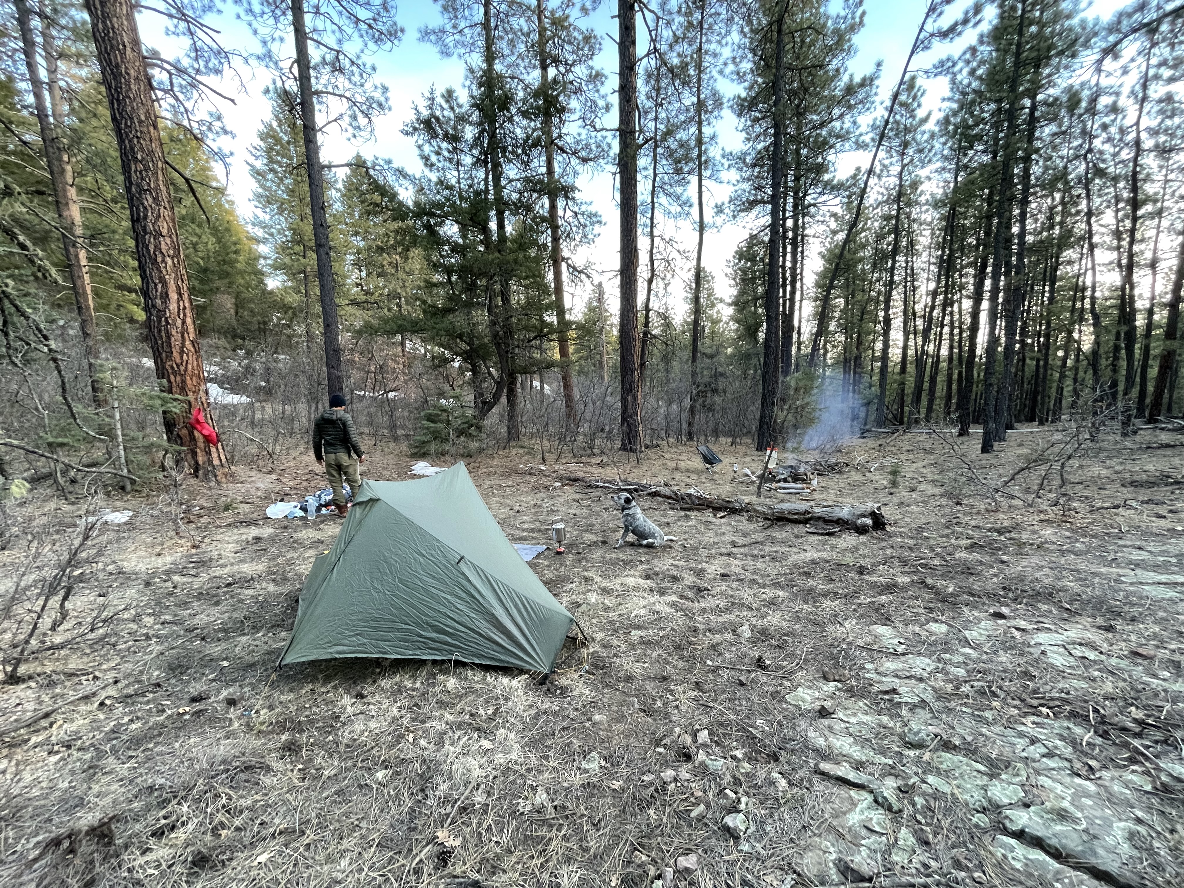 camp here